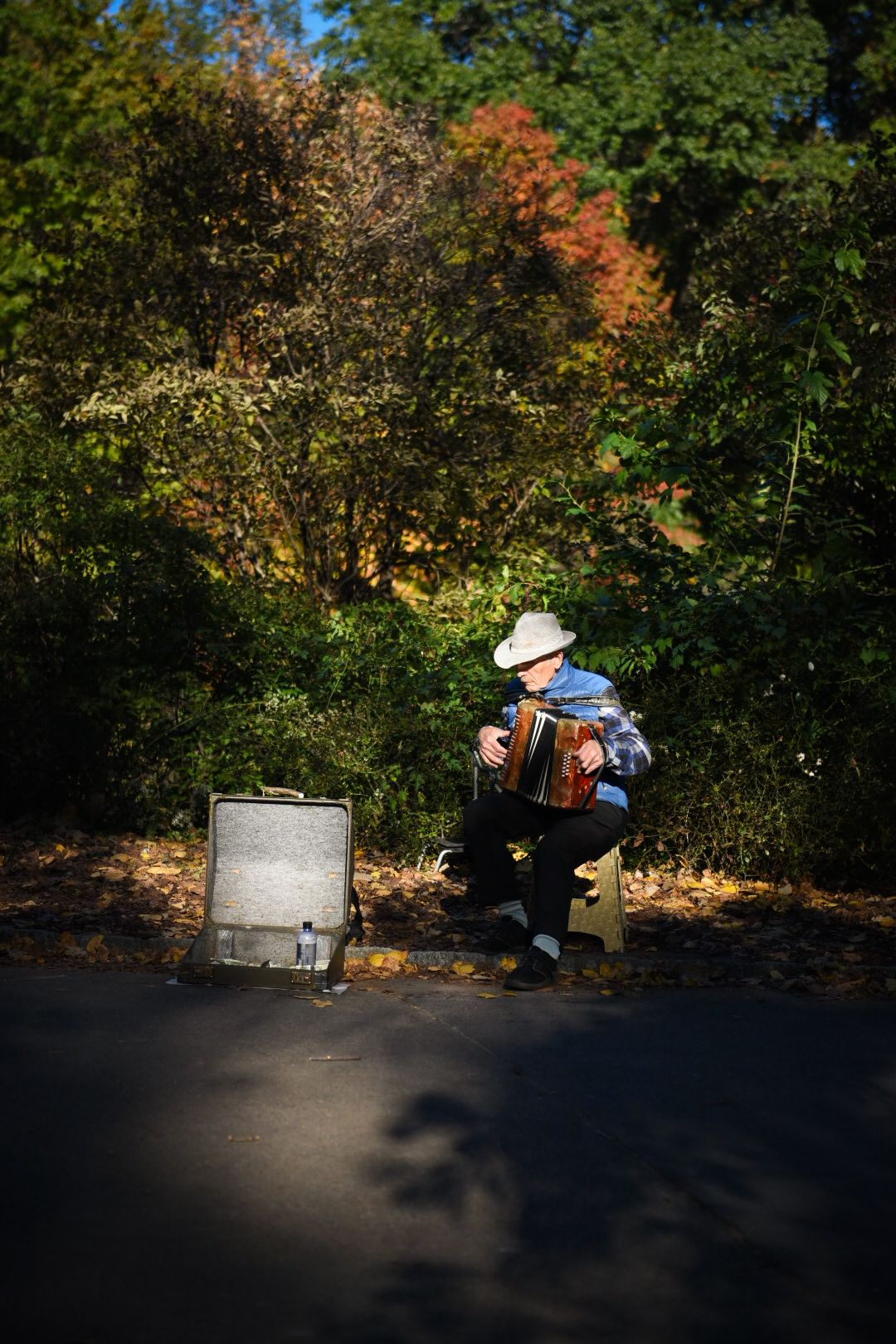 Accordion player in Central Park